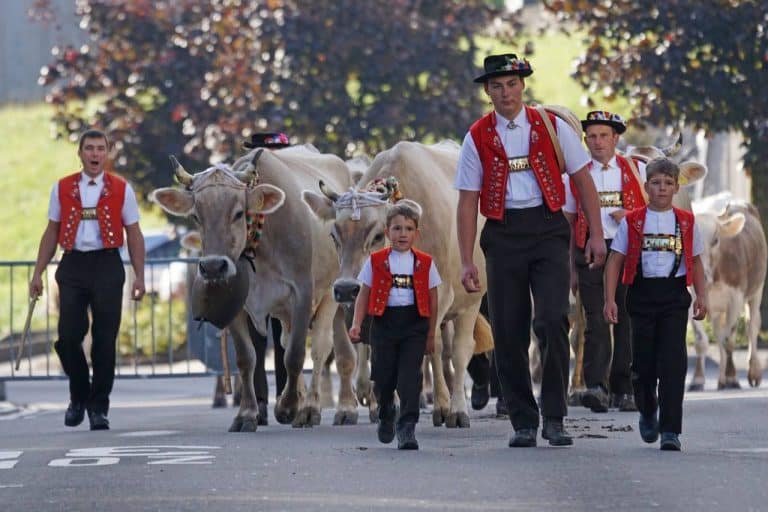 oesterreich tracht tradition