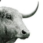 Krypto-Oberbulle Draper in Las Vegas: "Bitcoin oder dunkle Zeiten" bull stier