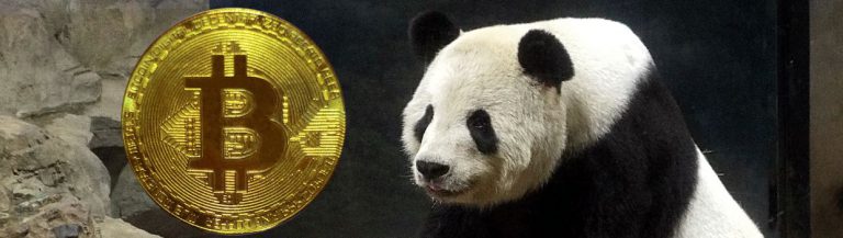 panda bitcoin muenze baer