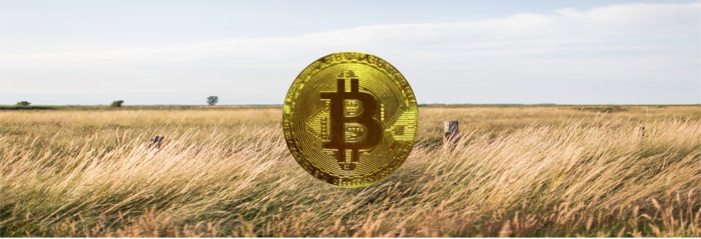Eine frische "Breez" für den Kryptomarkt! breez bitcoin payment
