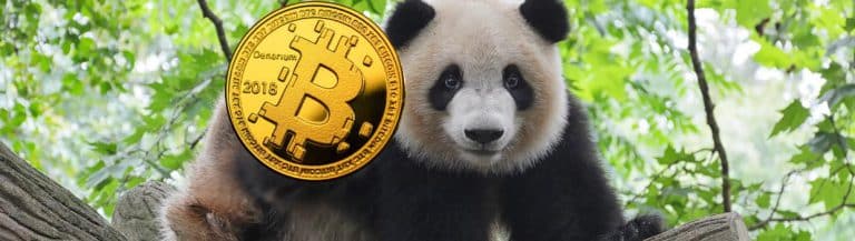 panda bitcoin schritt