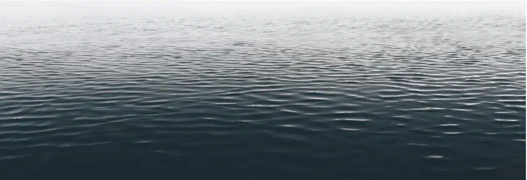 ripplexrp
