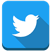 Twitter Profile