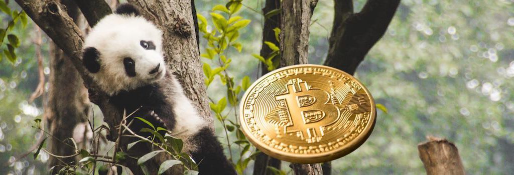 Bitcoin Panda Bitcoin Panda