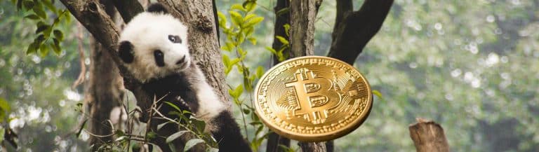 panda bitcoin bitpanda