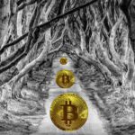 IOTA Foundation: unscheinbarer Krypto-Winner mit neuen Features iota foundation features