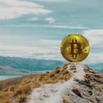 Eine Insel als Trendsetter: Neuseeland zahlt Gehalt in Bitcoin neuseeland bitcoin