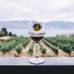 In vino veritas: SAP und EY unterstützen Weinhandel via Blockchain wein sap ey