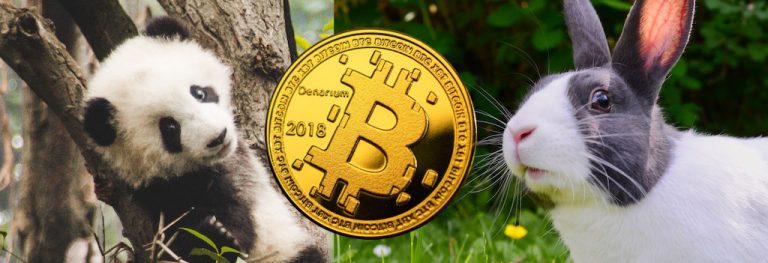 panda hase bitcoin