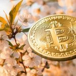 Bitcoin gegen Corona, Shooting-Star TPT Token und – BEST-Rewards april bitcoin krypto