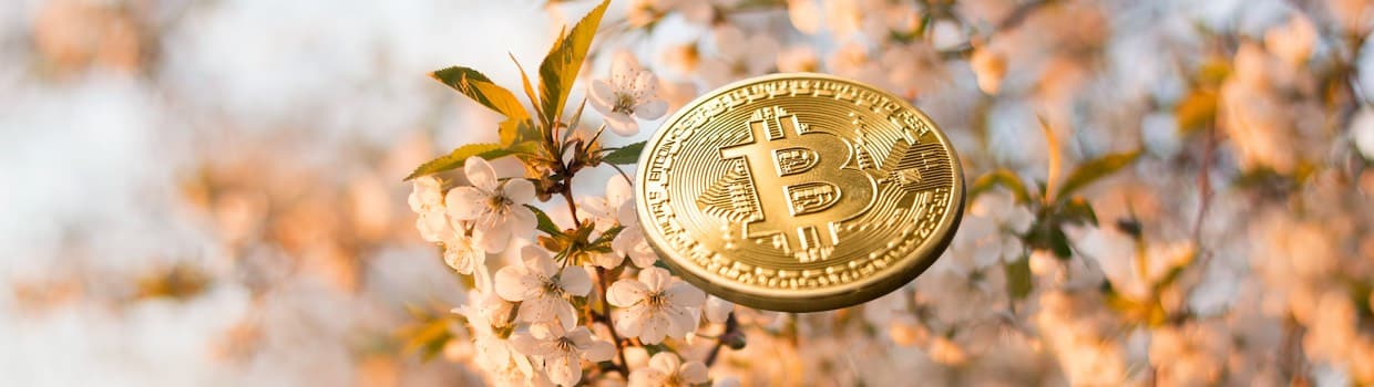 april bitcoin krypto