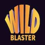 wildblaster logo
